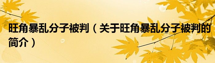 旺角暴乱分子被判（关于旺角暴乱分子被判的简介）