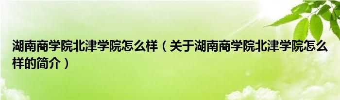 湖南商学院北津学院怎么样（关于湖南商学院北津学院怎么样的简介）