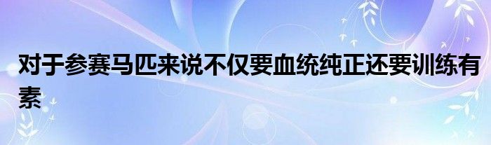 对于参赛马匹来说不仅要血统纯正还要训练有素