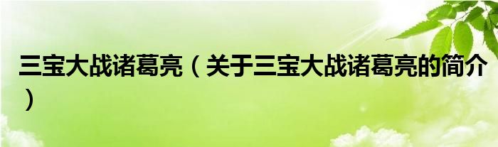 三宝大战诸葛亮（关于三宝大战诸葛亮的简介）