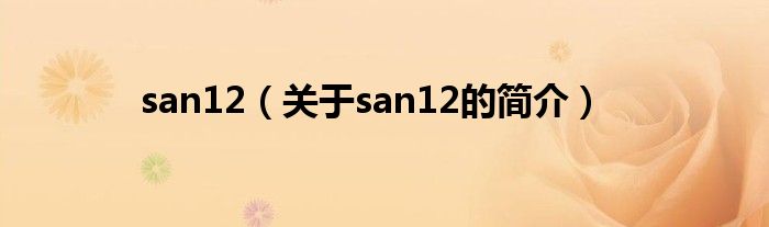 san12（关于san12的简介）