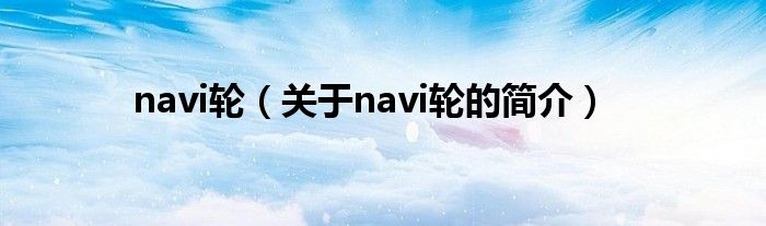 navi轮（关于navi轮的简介）