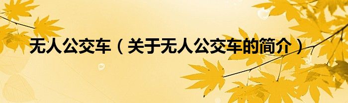 无人公交车（关于无人公交车的简介）