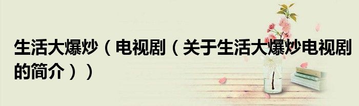 生活大爆炒（电视剧（关于生活大爆炒电视剧的简介））