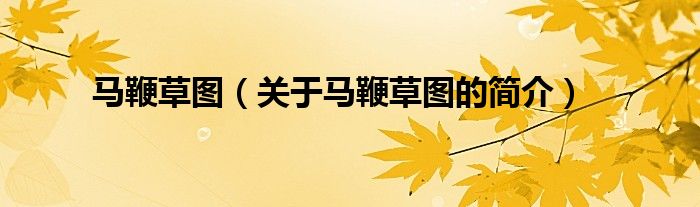 马鞭草图（关于马鞭草图的简介）