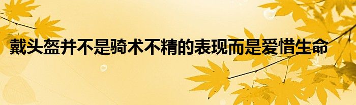 戴头盔并不是骑术不精的表现而是爱惜生命