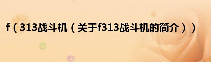 f（313战斗机（关于f313战斗机的简介））