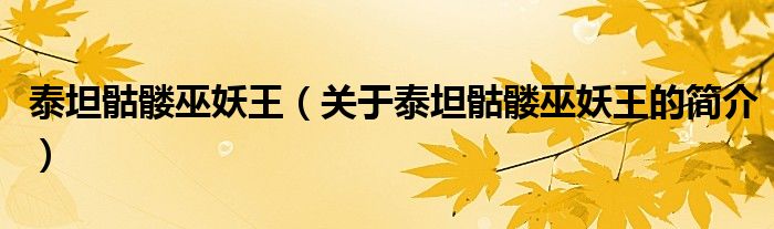 泰坦骷髅巫妖王（关于泰坦骷髅巫妖王的简介）