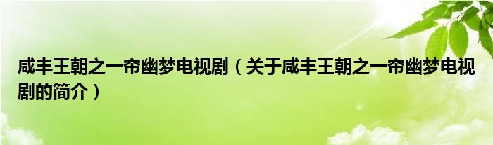 咸丰王朝之一帘幽梦电视剧（关于咸丰王朝之一帘幽梦电视剧的简介）