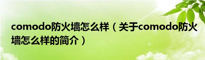 comodo防火墙怎么样（关于comodo防火墙怎么样的简介）