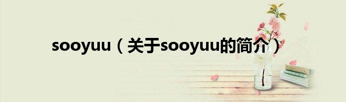 sooyuu（关于sooyuu的简介）