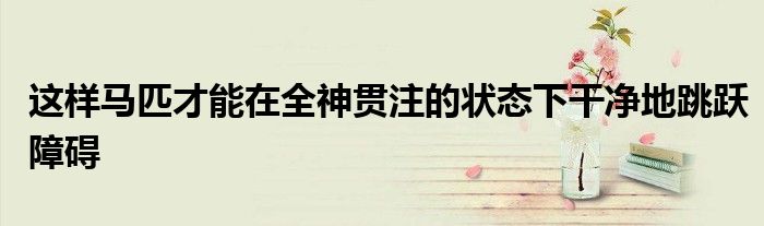 这样马匹才能在全神贯注的状态下干净地跳跃障碍