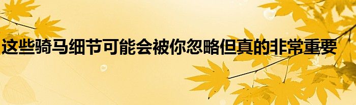 这些骑马细节可能会被你忽略但真的非常重要