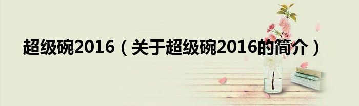 超级碗2016（关于超级碗2016的简介）