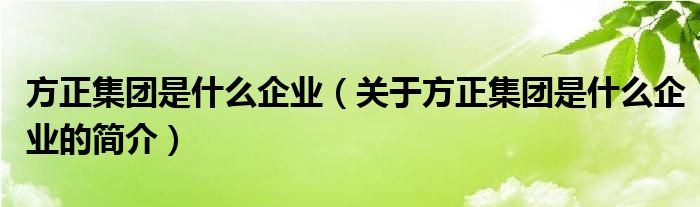 方正集团是什么企业（关于方正集团是什么企业的简介）