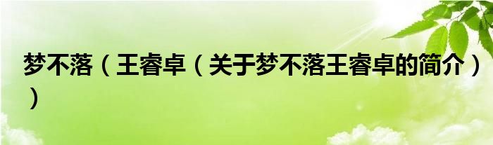 梦不落（王睿卓（关于梦不落王睿卓的简介））