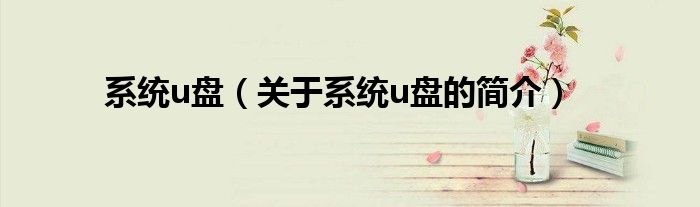 系统u盘（关于系统u盘的简介）