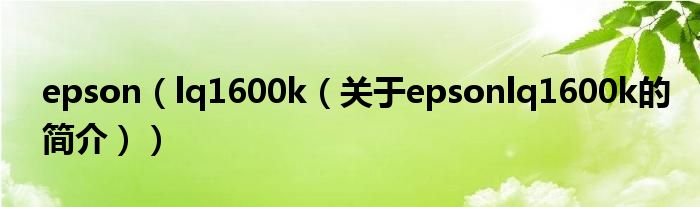 epson（lq1600k（关于epsonlq1600k的简介））