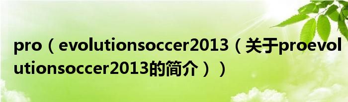 pro（evolutionsoccer2013（关于proevolutionsoccer2013的简介））