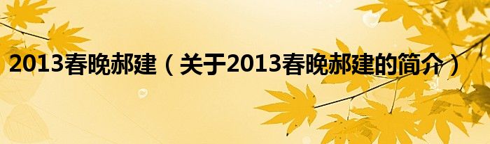 2013春晚郝建（关于2013春晚郝建的简介）