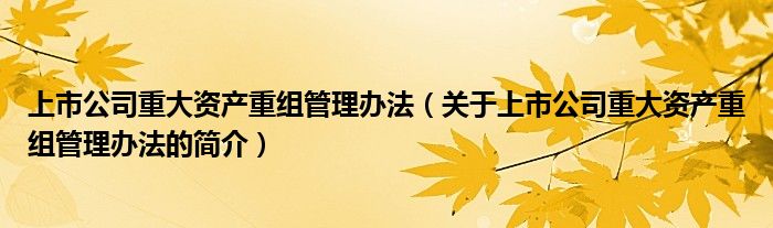 上市公司重大资产重组管理办法（关于上市公司重大资产重组管理办法的简介）