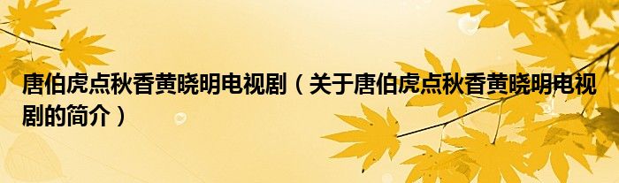 唐伯虎点秋香黄晓明电视剧（关于唐伯虎点秋香黄晓明电视剧的简介）