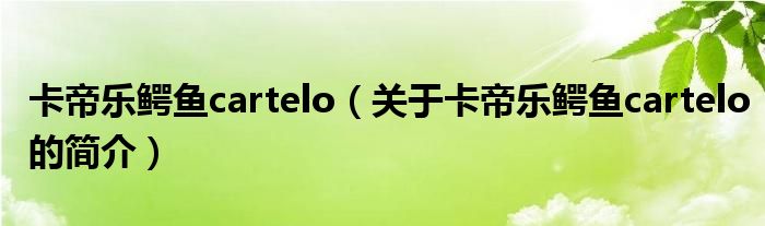 卡帝乐鳄鱼cartelo（关于卡帝乐鳄鱼cartelo的简介）