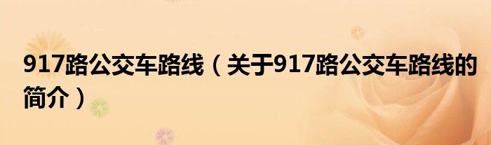 917路公交车路线（关于917路公交车路线的简介）