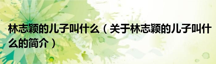 林志颖的儿子叫什么（关于林志颖的儿子叫什么的简介）