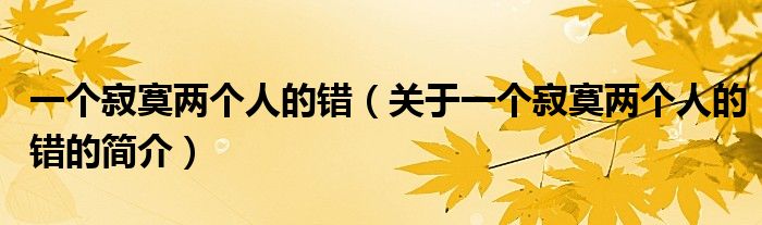 一个寂寞两个人的错（关于一个寂寞两个人的错的简介）