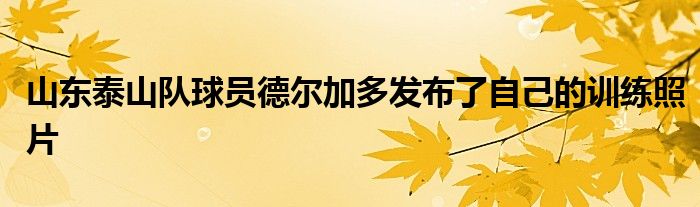 山东泰山队球员德尔加多发布了自己的训练照片