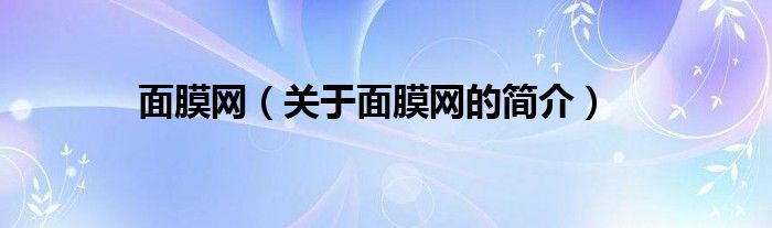 面膜网（关于面膜网的简介）