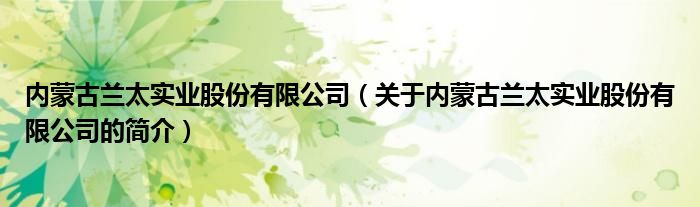 内蒙古兰太实业股份有限公司（关于内蒙古兰太实业股份有限公司的简介）