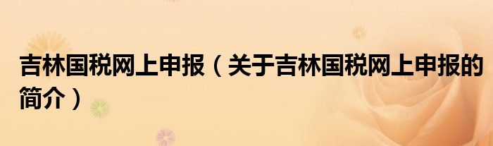 吉林国税网上申报（关于吉林国税网上申报的简介）
