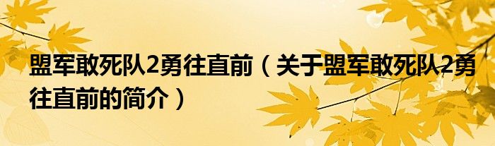 盟军敢死队2勇往直前（关于盟军敢死队2勇往直前的简介）