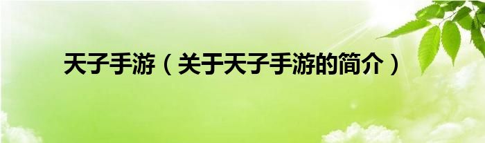 天子手游（关于天子手游的简介）