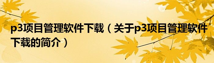 p3项目管理软件下载（关于p3项目管理软件下载的简介）