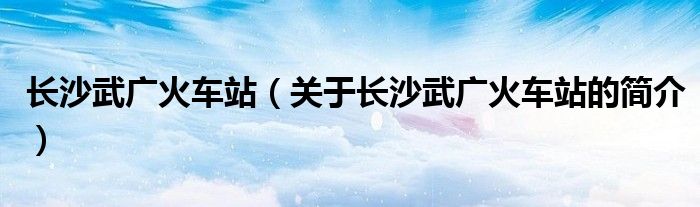 长沙武广火车站（关于长沙武广火车站的简介）