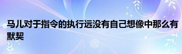 马儿对于指令的执行远没有自己想像中那么有默契