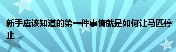 新手应该知道的第一件事情就是如何让马匹停止