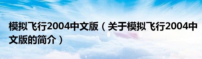 模拟飞行2004中文版（关于模拟飞行2004中文版的简介）