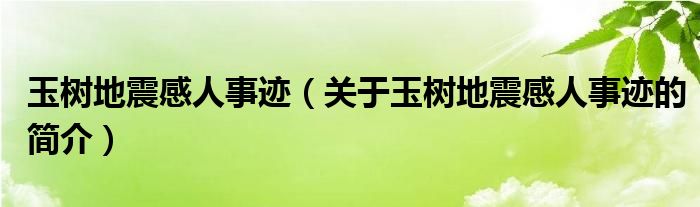 玉树地震感人事迹（关于玉树地震感人事迹的简介）