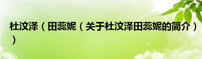杜汶泽（田蕊妮（关于杜汶泽田蕊妮的简介））