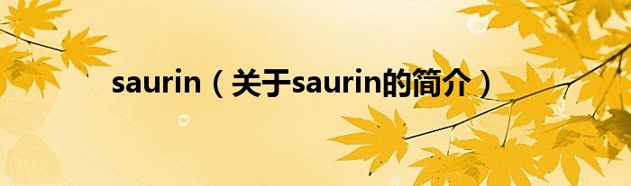 saurin（关于saurin的简介）