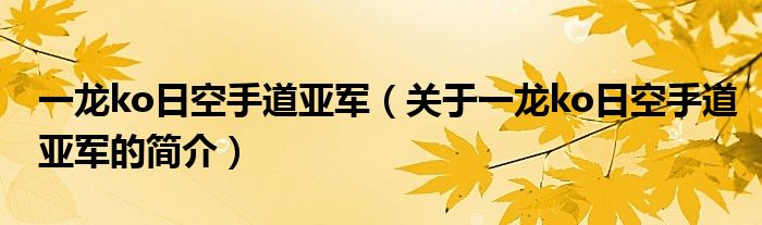 一龙ko日空手道亚军（关于一龙ko日空手道亚军的简介）