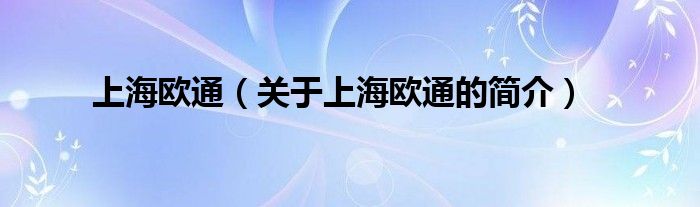 上海欧通（关于上海欧通的简介）