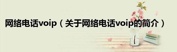网络电话voip（关于网络电话voip的简介）