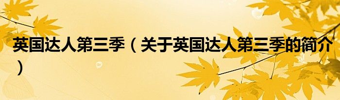 英国达人第三季（关于英国达人第三季的简介）