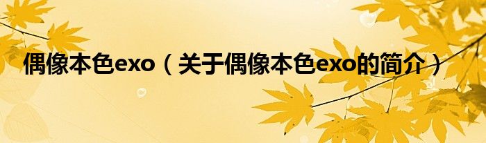 偶像本色exo（关于偶像本色exo的简介）