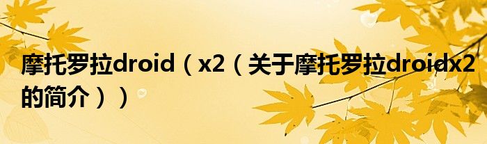 摩托罗拉droid（x2（关于摩托罗拉droidx2的简介））